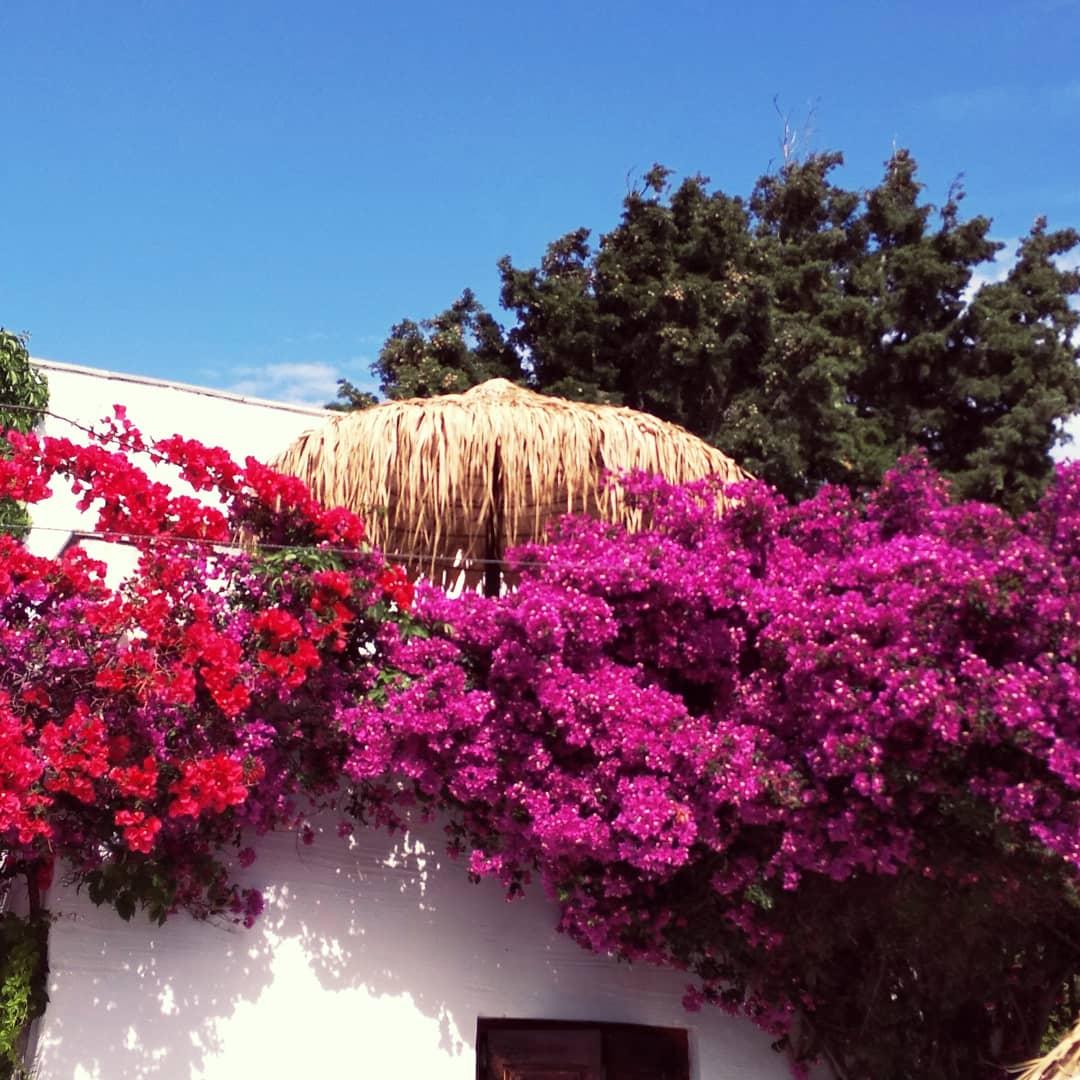 Naxos Summerland Resort Kastrákion Εξωτερικό φωτογραφία