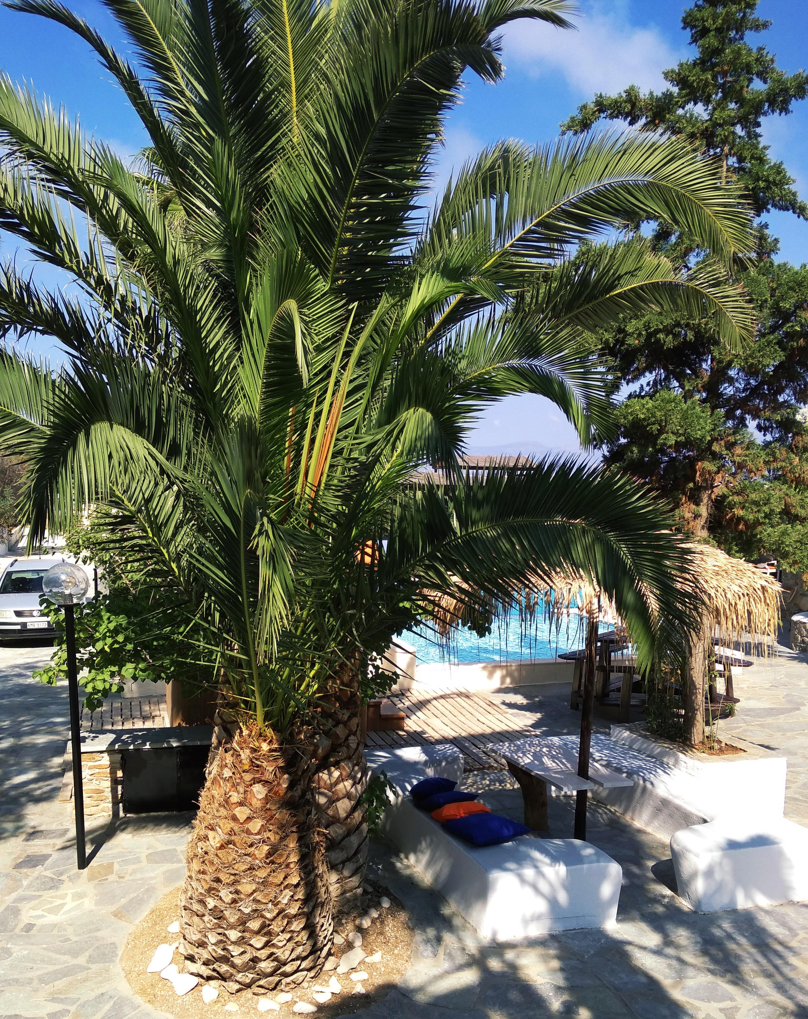 Naxos Summerland Resort Kastrákion Εξωτερικό φωτογραφία